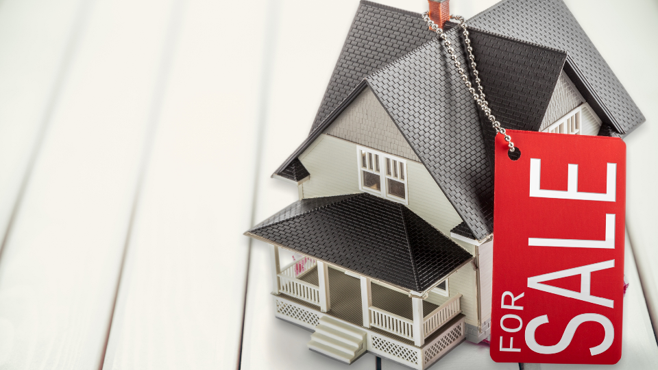 Property Auction Websdite3